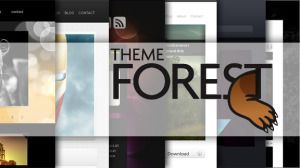 themeforest